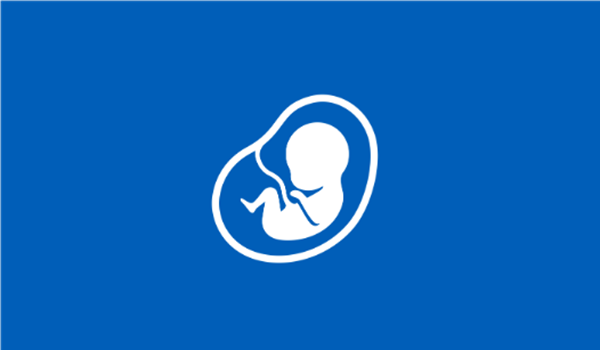 Pregnancy Journey Logo