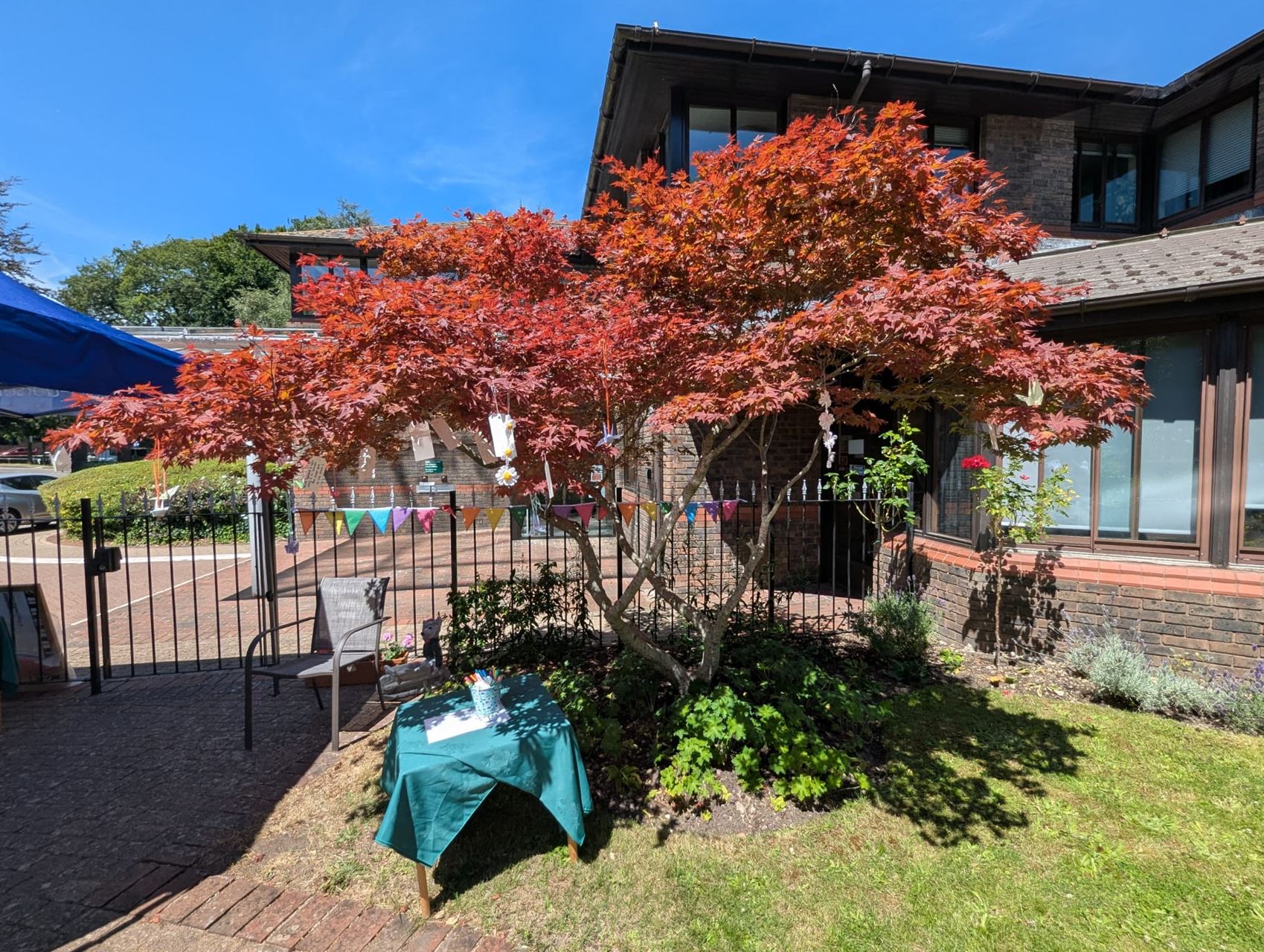 Wish tree